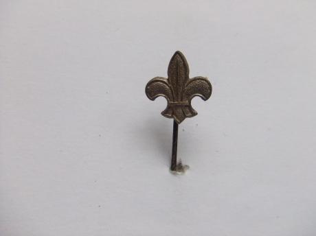 Scouting logo franse lelie